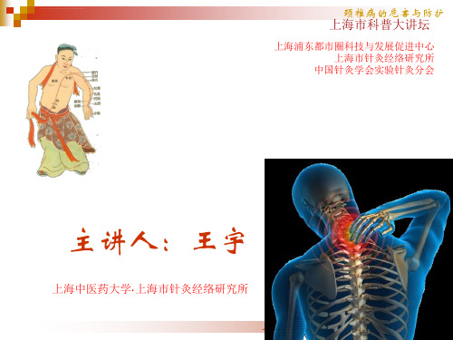 颈椎病的危害与防护王宇ppt课件