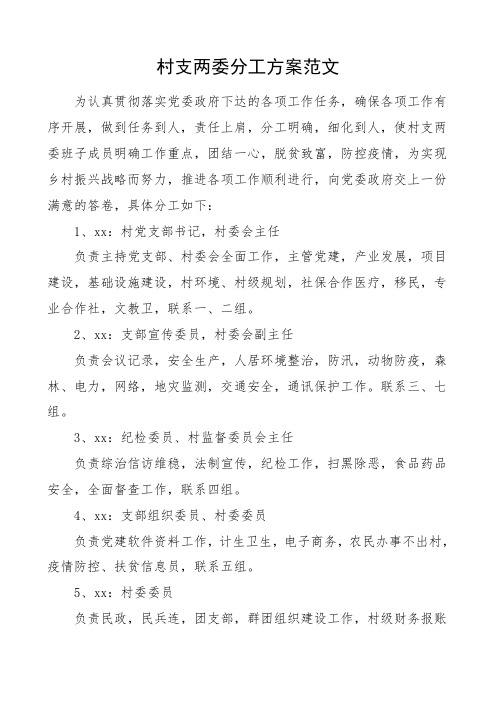 2021年村支两委分工方案范文村两委班子成员村干部职责分工工作制度