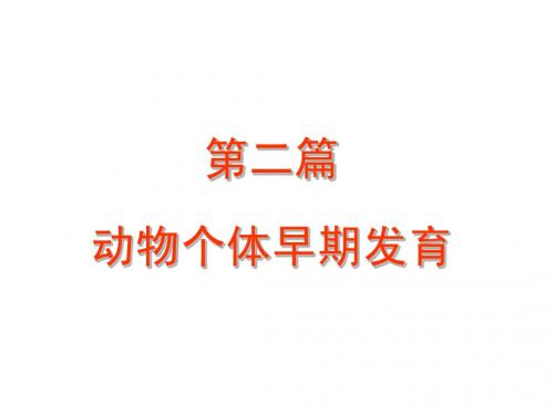 动物个体早期发育