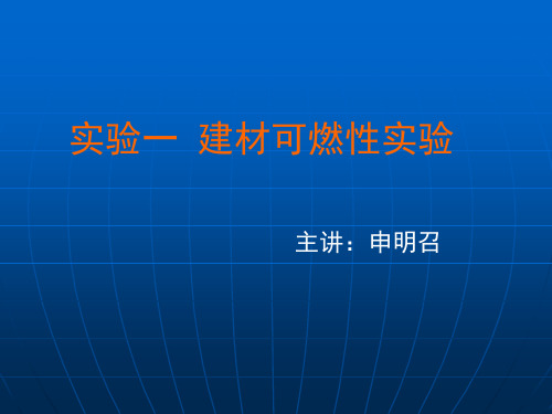 可燃性试验