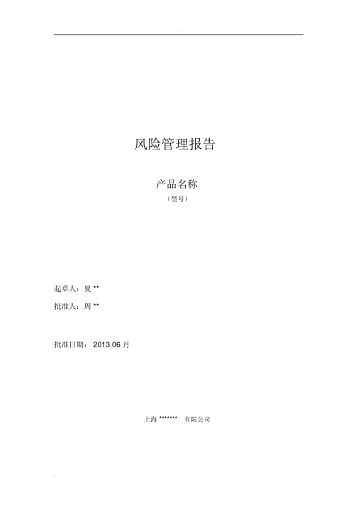 风险分析报告模板(软件有源)