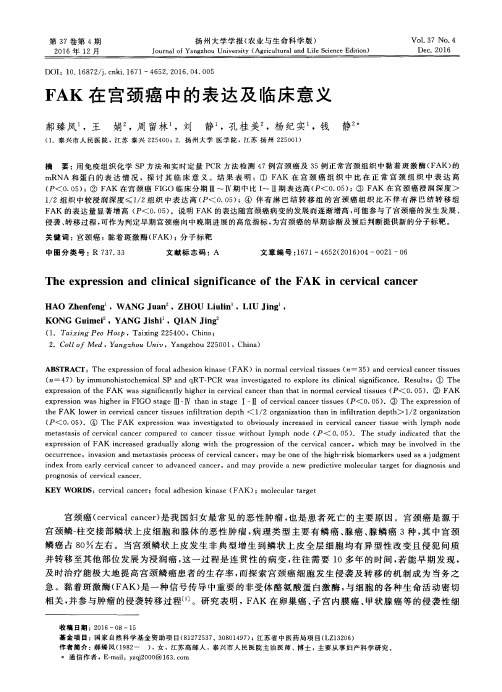 FAK在宫颈癌中的表达及临床意义