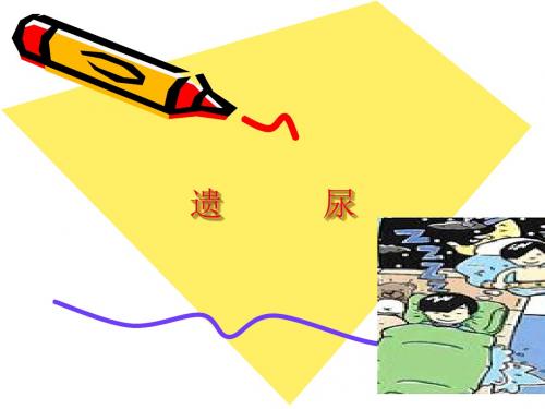 遗尿 PPT课件