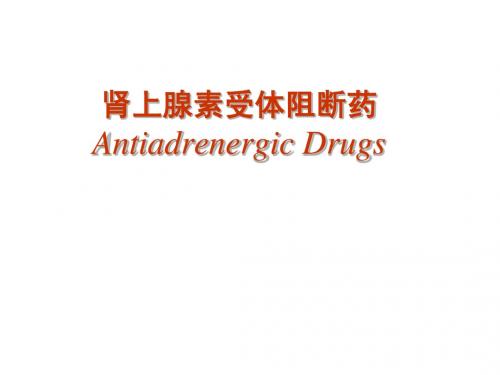 抗肾上腺素药