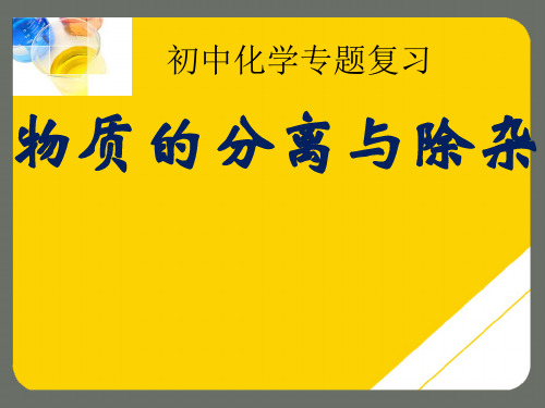 中考专题复习物质的分离与除杂ppt(精选文档)