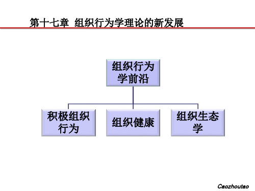 组织行为学新发展