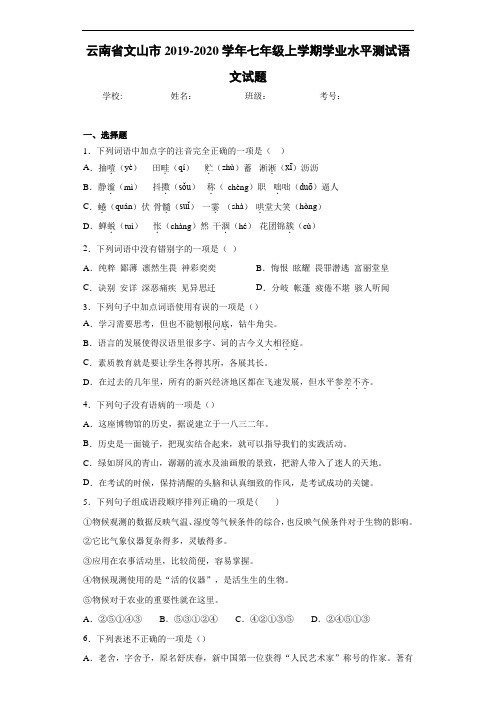 云南省文山市2019~2020学年七年级上学期学业水平测试语文试题