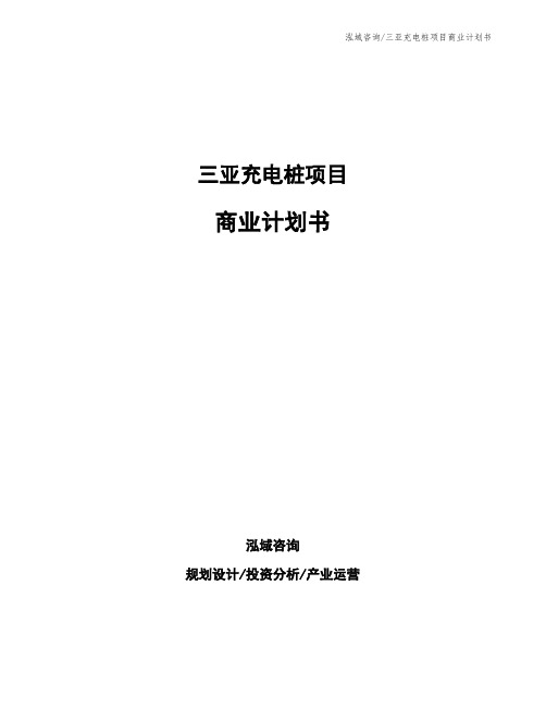 三亚充电桩项目商业计划书