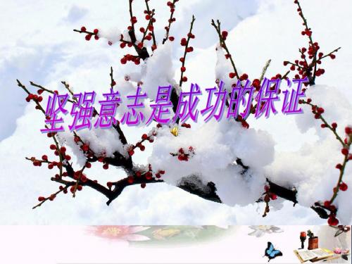 【初中政治】坚强意志是成功的保证ppt优秀课件1