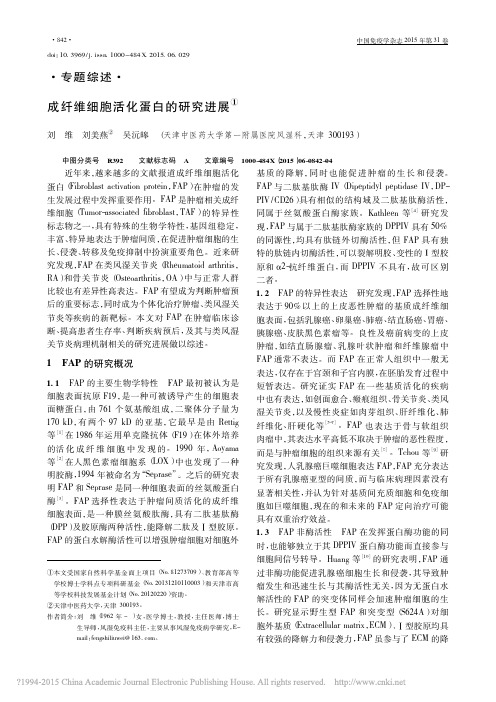 成纤维细胞活化蛋白的研究进展_刘维