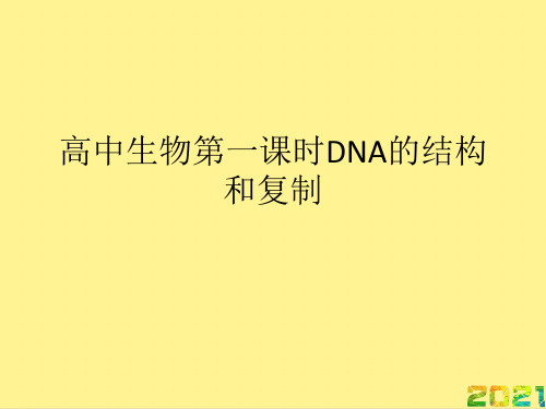 高中生物第一课时DNA的结构和复制优秀PPT完整PPT