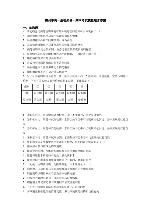 锦州市高一生物必修一期末考试模拟题含答案