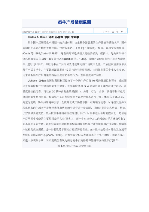 奶牛产后健康监测