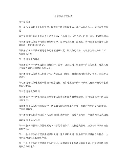 骨干队伍管理制度