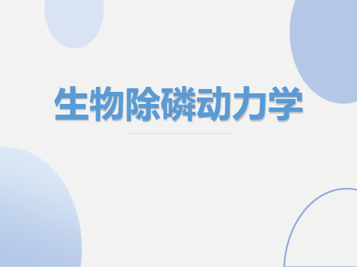 除磷动力学