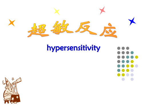 《超敏反应》PPT课件