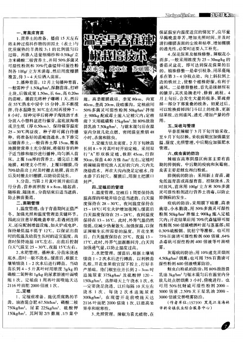 温室早春茬辣椒栽培技术