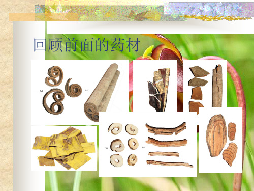花类中药材