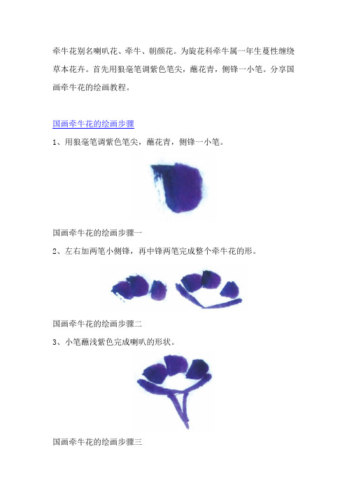 国画牵牛花的绘画教程