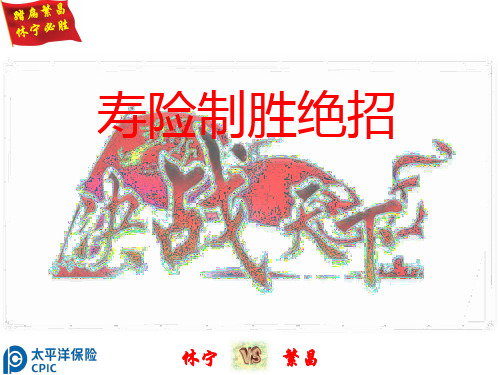 寿险制胜绝技.pptx