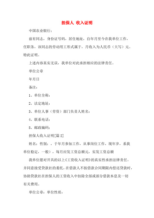 担保人 收入证明