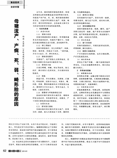 母猪流产、产病、死、弱、畸形胎的原因
