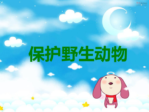 保护野生动物主题班会PPT课件