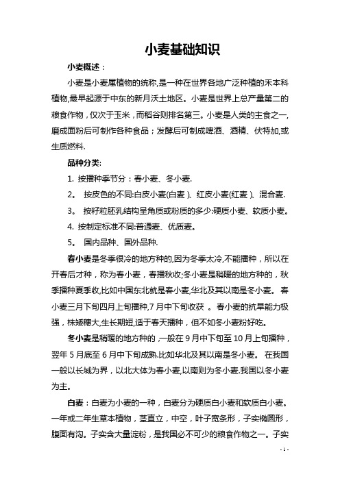 小麦基础知识
