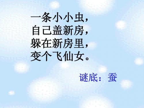 苏教版二年级语文下册2.蚕姑娘