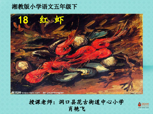 红虾