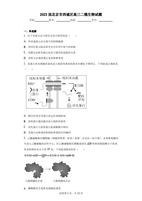 2023届北京市西城区高三二模生物试题(含答案)