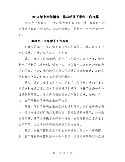 2023年上半年稽查工作总结及下半年工作打算