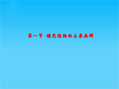 七年级生物上册 第一节 绿色植物的主要类群1课件 济南版