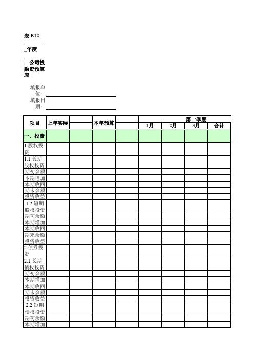 投融资预算表