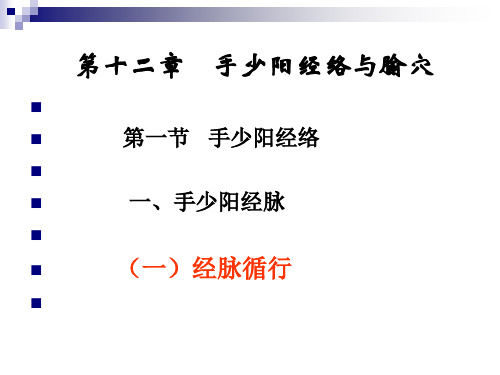 三 焦 经分析课件