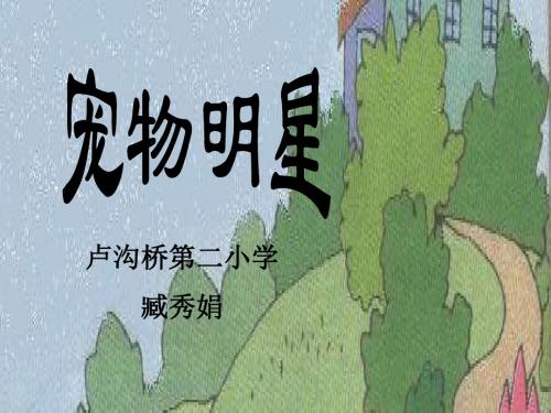 宠物明星-()
