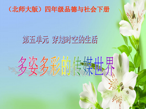北师大版小学品德四年级品德与社会下册课件多姿多彩的传媒世界-怎样看电视