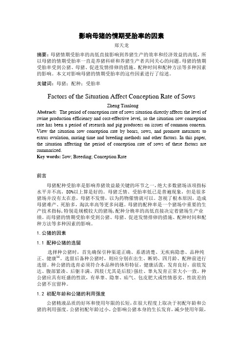 影响母猪的情期受胎率的因素