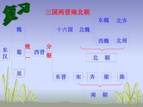 第24课 三国两晋南北朝的科学和艺术