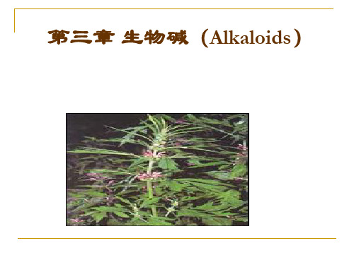 第十章生物碱-PPT资料83页