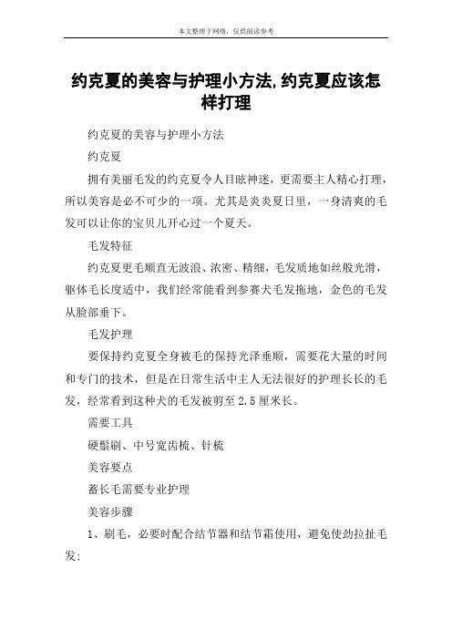 约克夏的美容与护理小方法,约克夏应该怎样打理