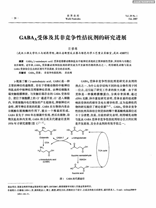 GABAA受体及其非竞争性拮抗剂的研究进展