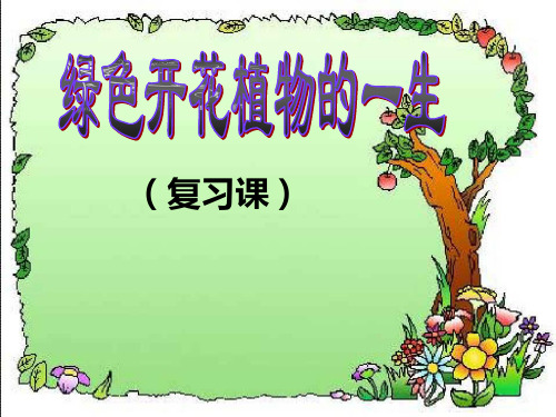 第四单元第一章绿色开花植物的一生复习课