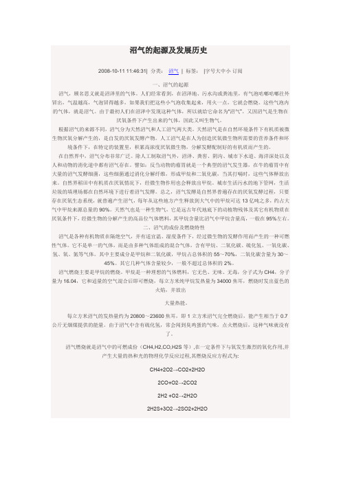 沼气的起源及发展历史