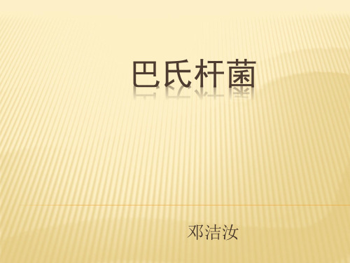 巴氏杆菌