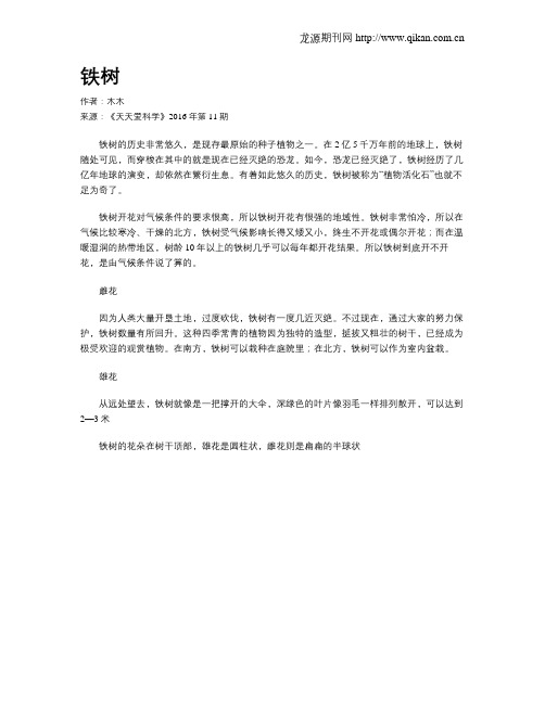 铁树