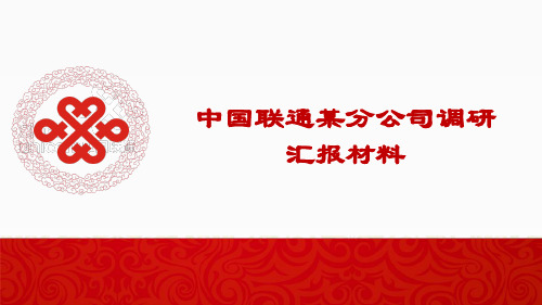 中国联通某分公司调研汇报材料