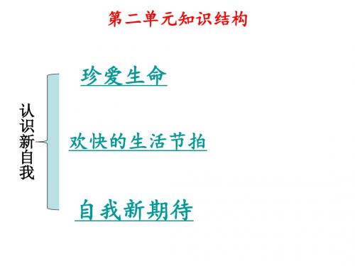 人教版七年级上册第二单元复习课件