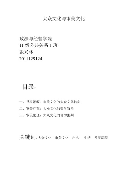 大众文化与审美文化