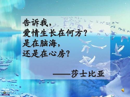 《致女儿的信》课件